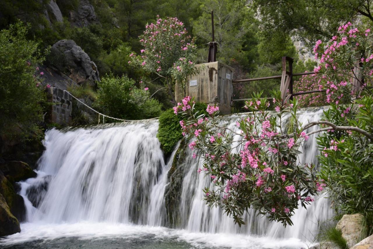 Casa Rural Altaret Кальоса-де-Энсаррия Экстерьер фото